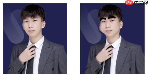 PaddleHub人脸关键点检测：一键生成蜡笔小新的远房表弟 - php中文网