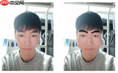 PaddleHub人脸关键点检测：一键生成蜡笔小新的远房表弟 - php中文网