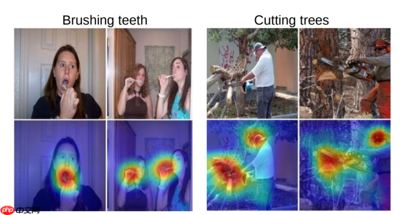 Paddle可视化神经网络热力图(CAM) - php中文网