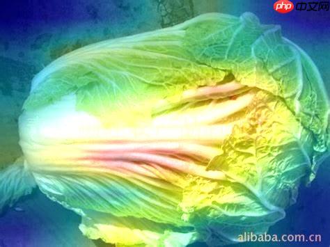 Paddle可视化神经网络热力图(CAM) - php中文网