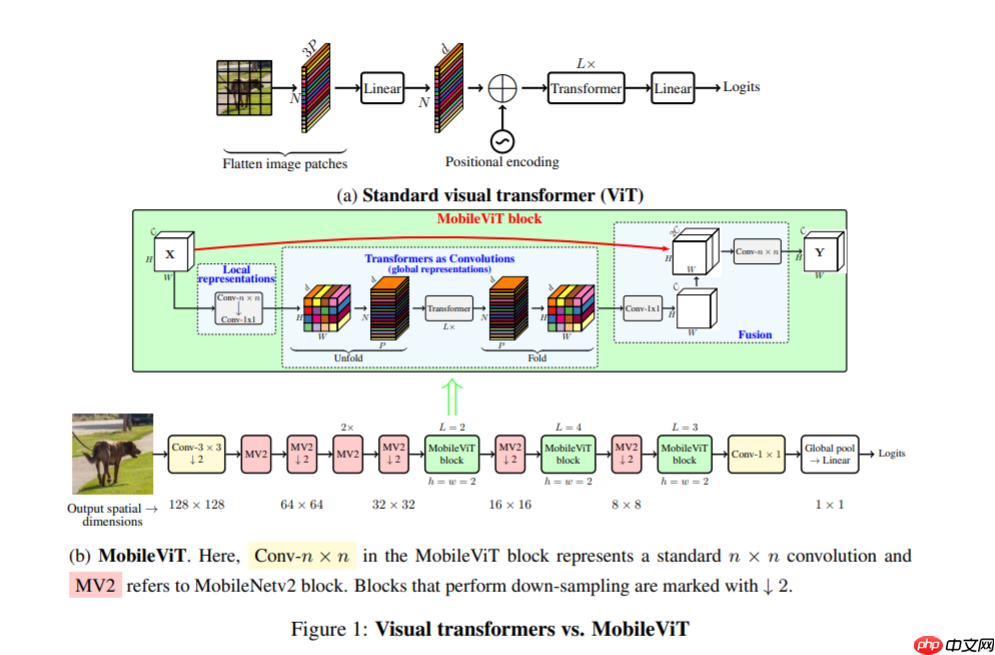 Mobile-ViT：改进的一种更小更轻精度更高的模型 - php中文网
