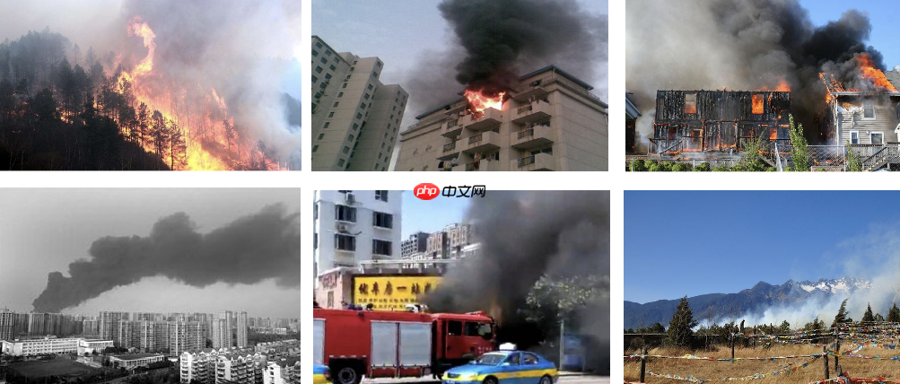 基于PP-YOLOv2的火灾/烟雾检测 - php中文网