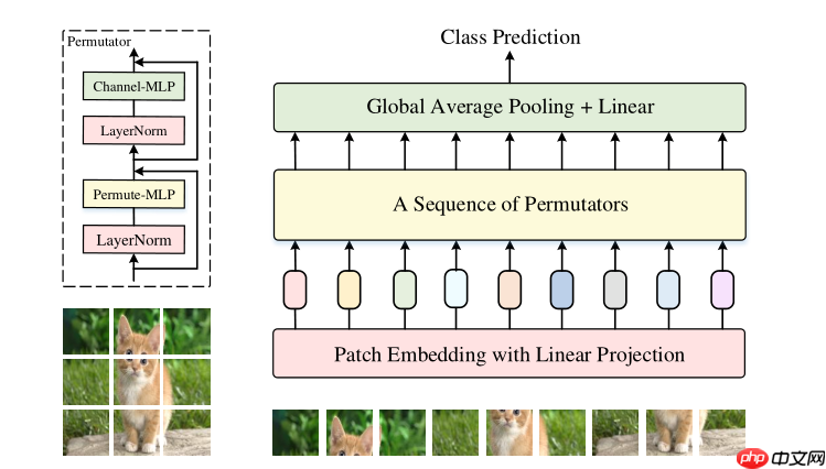 ViP:类MLP架构又一狂欢 - php中文网