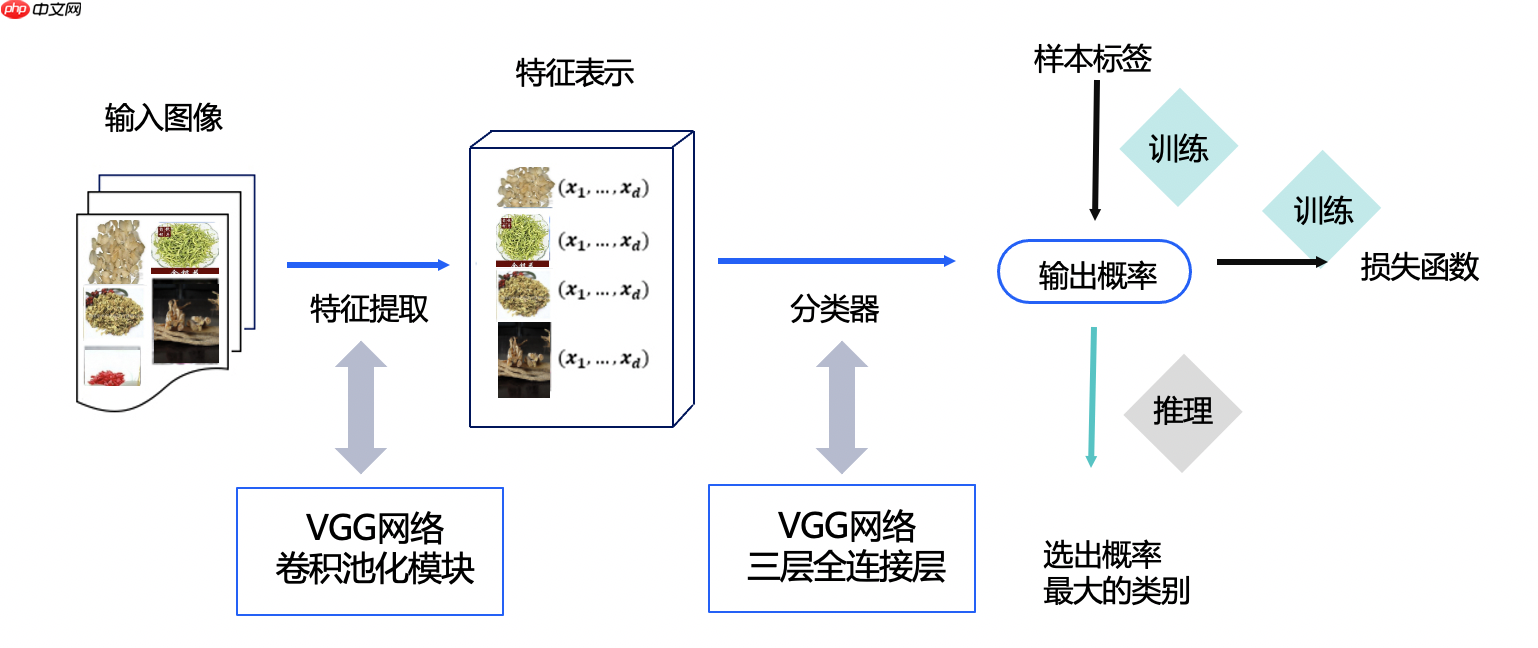 基于图像分类网络VGG实现中草药识别 - php中文网