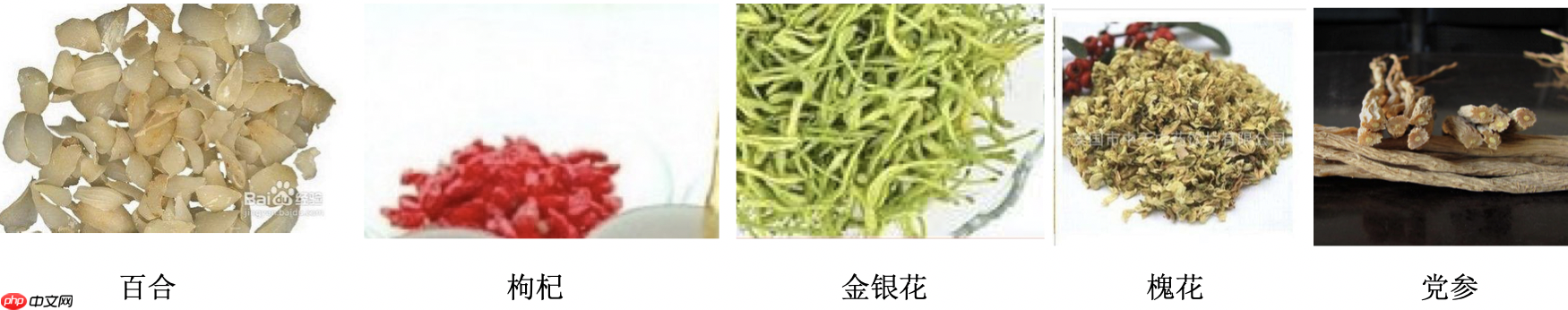 基于图像分类网络VGG实现中草药识别 - php中文网