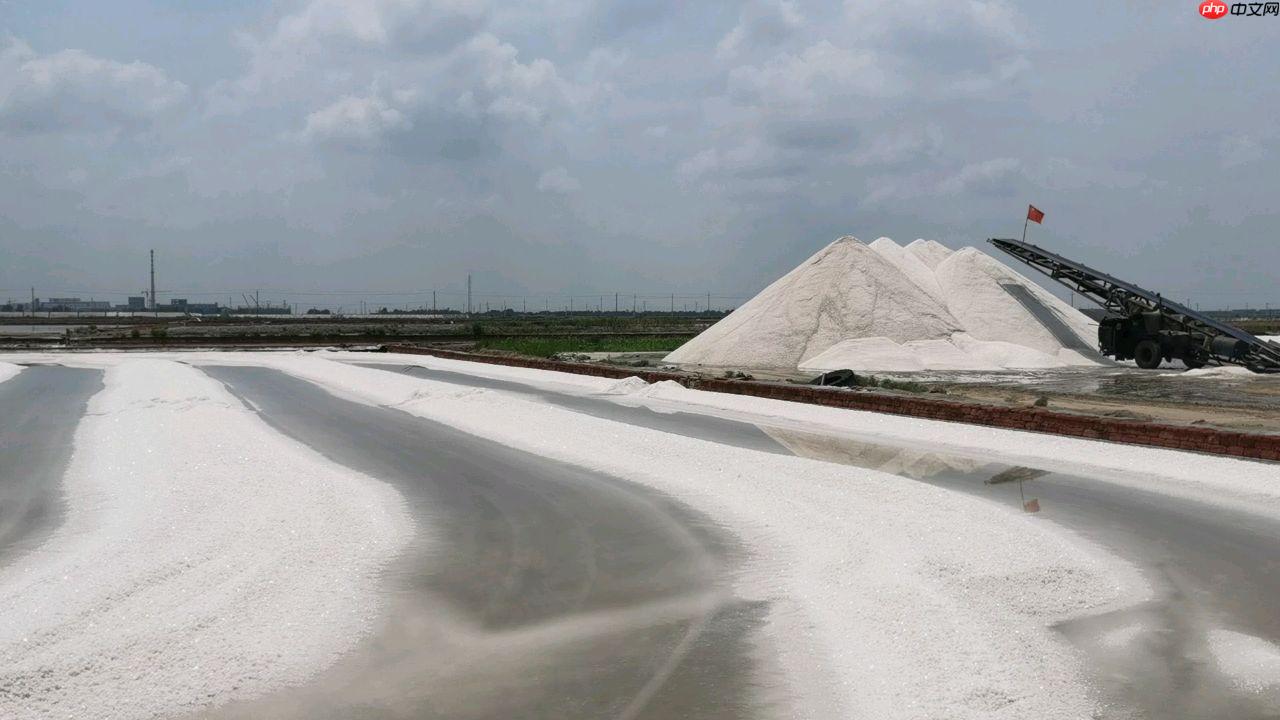 【飞桨领航团AI达人创造营】基于EdgeBoard部署的圈围晒盐的智能辅助系统 - php中文网