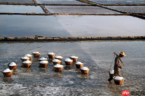 【飞桨领航团AI达人创造营】基于EdgeBoard部署的圈围晒盐的智能辅助系统 - php中文网