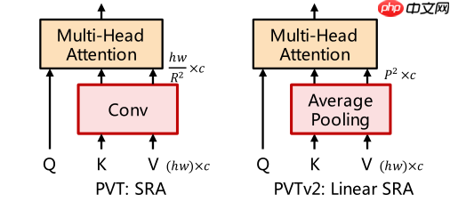 PVT v2：超越 Swin 的新型金字塔 ViT - php中文网