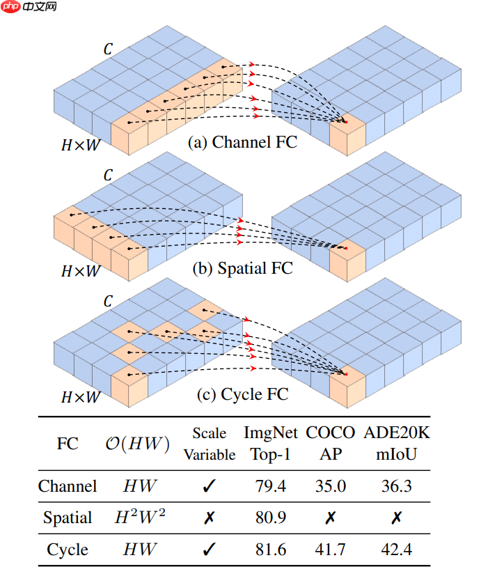 浅析并实现 CycleMLP，一种用于密集预测的类 MLP 模型 - php中文网