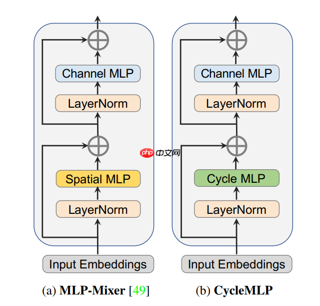 浅析并实现 CycleMLP，一种用于密集预测的类 MLP 模型 - php中文网