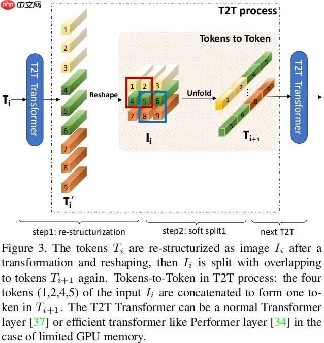 Paddle2.0:浅析并实现 T2T-ViT 模型 - php中文网