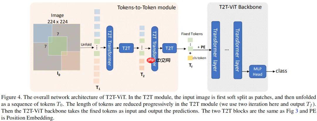 Paddle2.0:浅析并实现 T2T-ViT 模型 - php中文网
