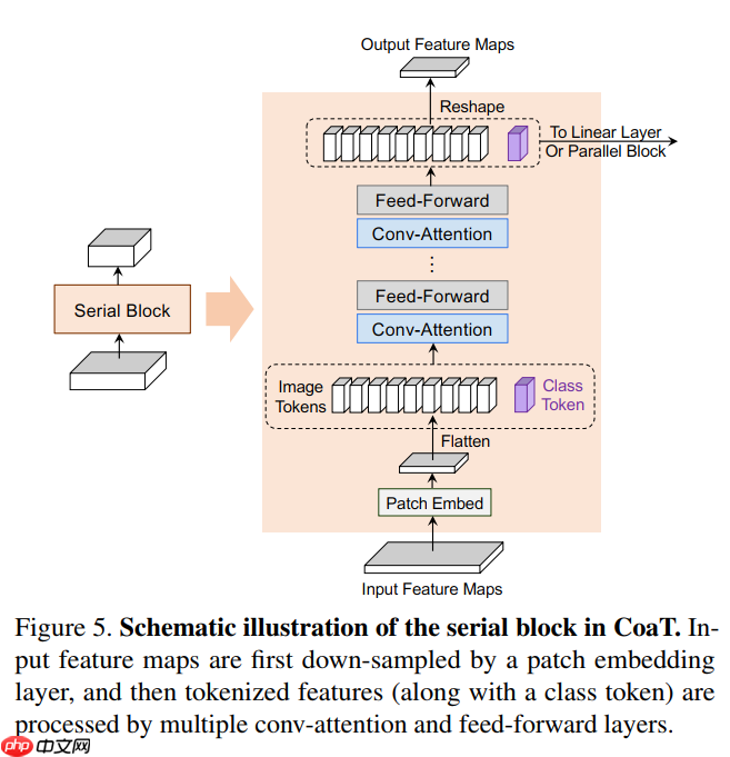 Paddle2.0：浅析并实现 CoaT 模型 - php中文网