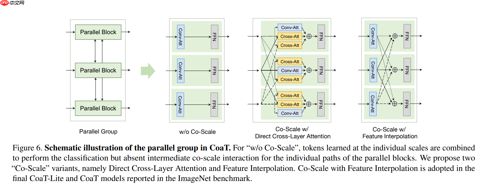 Paddle2.0：浅析并实现 CoaT 模型 - php中文网