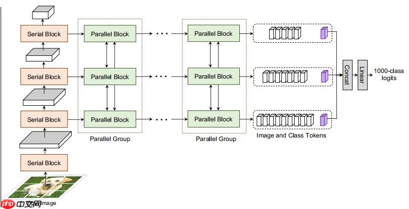 Paddle2.0：浅析并实现 CoaT 模型 - php中文网