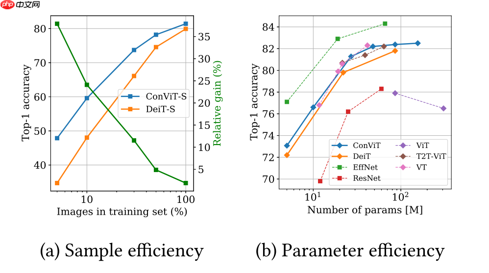 ConViT：引入归纳偏置的ViT - php中文网