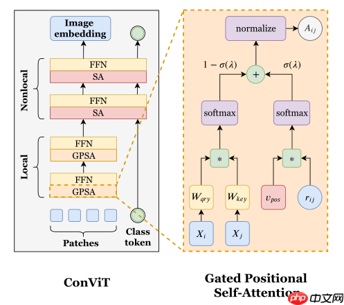 ConViT：引入归纳偏置的ViT - php中文网