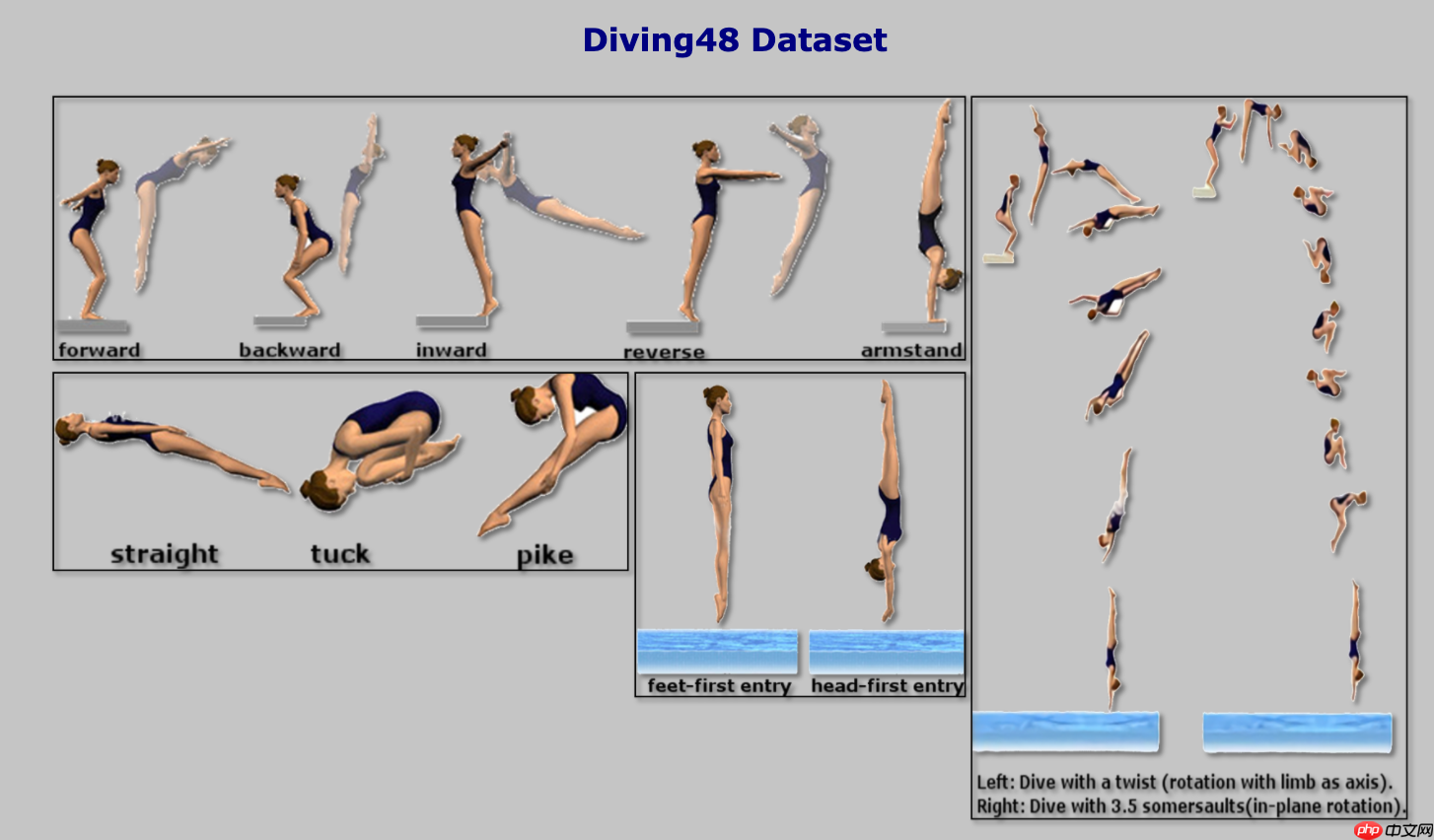 基于Paddle2.0实现视频分类模型GSM - php中文网