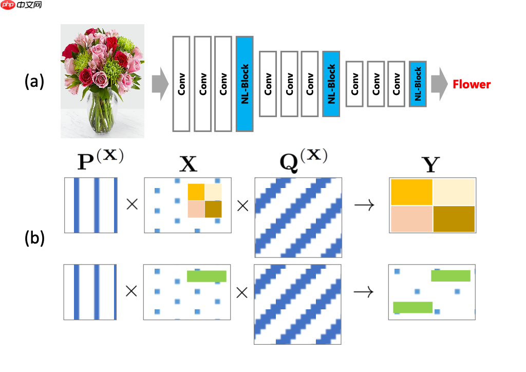 比non-local更好,基于Paddle2.0的GCNet和BAT - php中文网