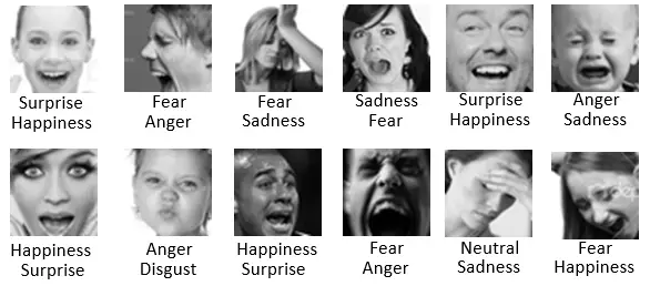 基于PaddleDetection的情绪识别 - php中文网