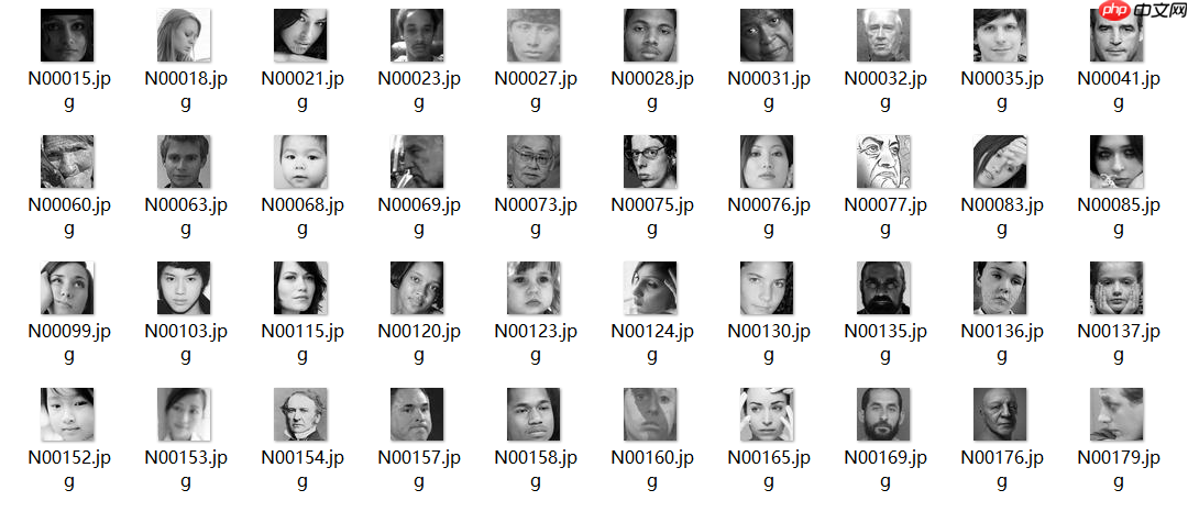 基于PaddleDetection的情绪识别 - php中文网