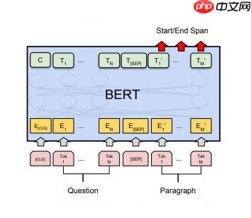 基于BERT模型的机器阅读理解 - php中文网