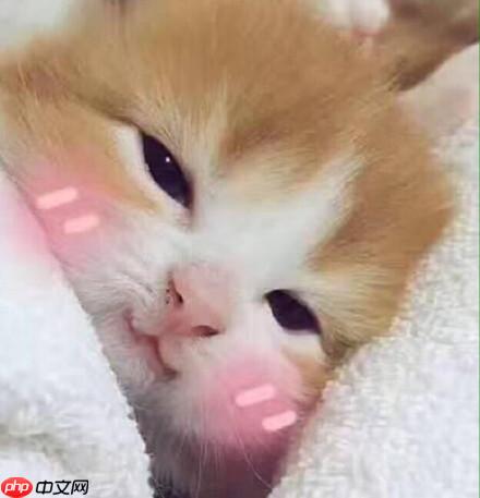 『PPYOLO tiny尝鲜』基于PaddleDetection的人脸疲劳检测 - php中文网