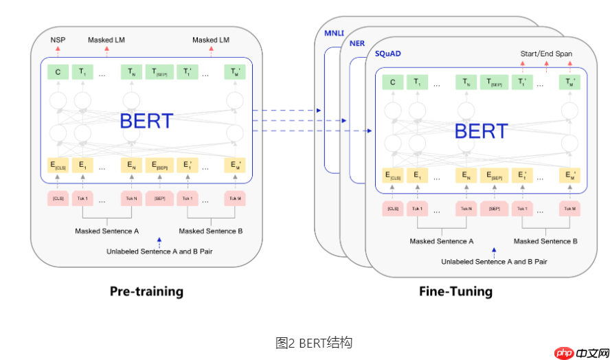 基于BERT实现机器阅读理解 - php中文网