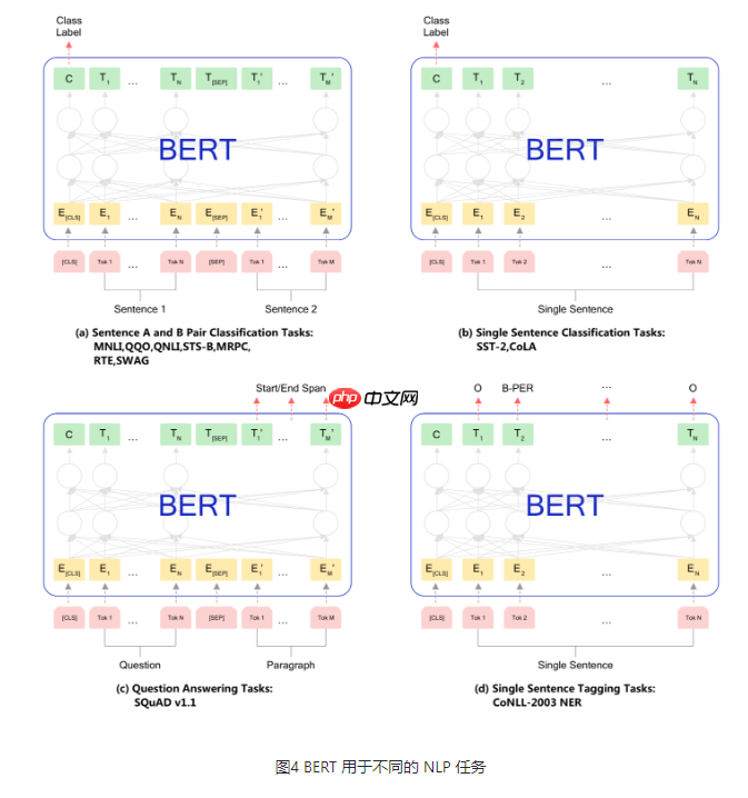 基于BERT实现机器阅读理解 - php中文网