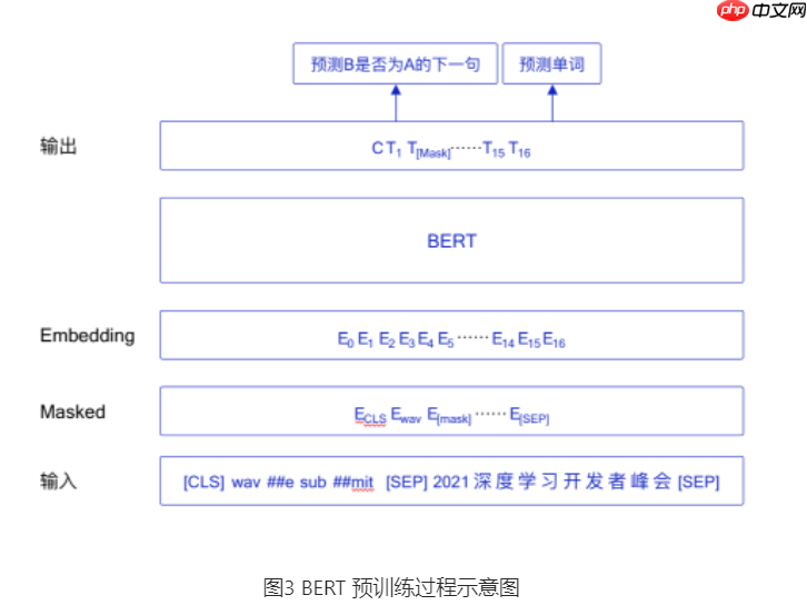 基于BERT实现机器阅读理解 - php中文网