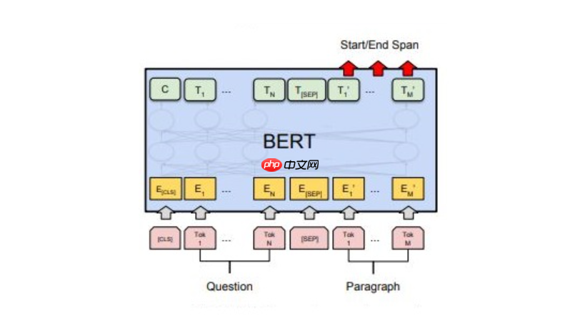 基于BERT实现机器阅读理解 - php中文网