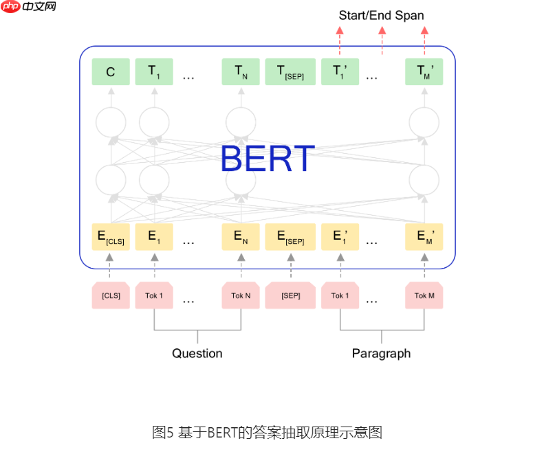 基于BERT实现机器阅读理解 - php中文网