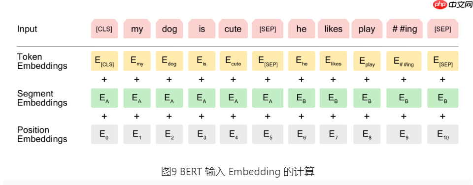 基于BERT实现机器阅读理解 - php中文网