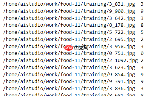 paddle实现食物分类 - php中文网