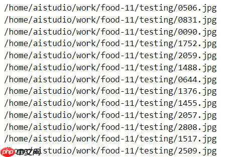 paddle实现食物分类 - php中文网