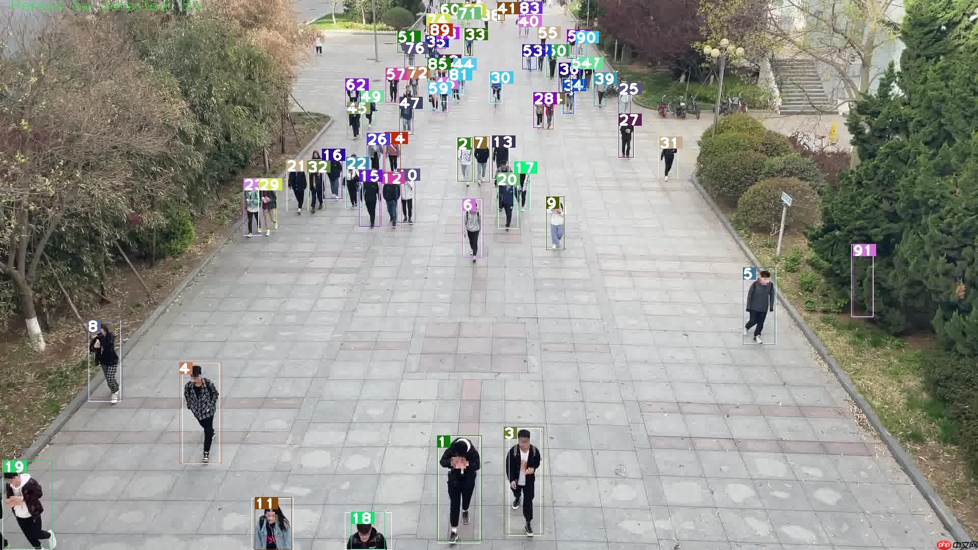 PPYOLO训练行人检测模型 - php中文网