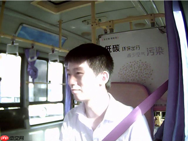 基于PaddleDetection的疲劳驾驶检测系统 - php中文网