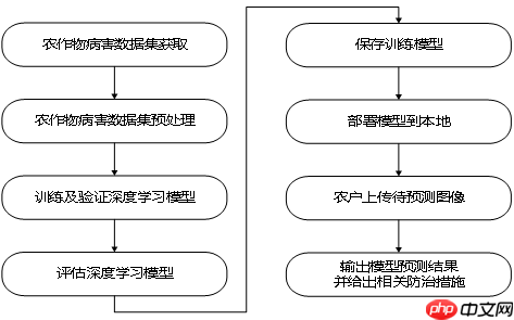 Coding-Party 基于飞桨的农作物智能识别系统 - php中文网