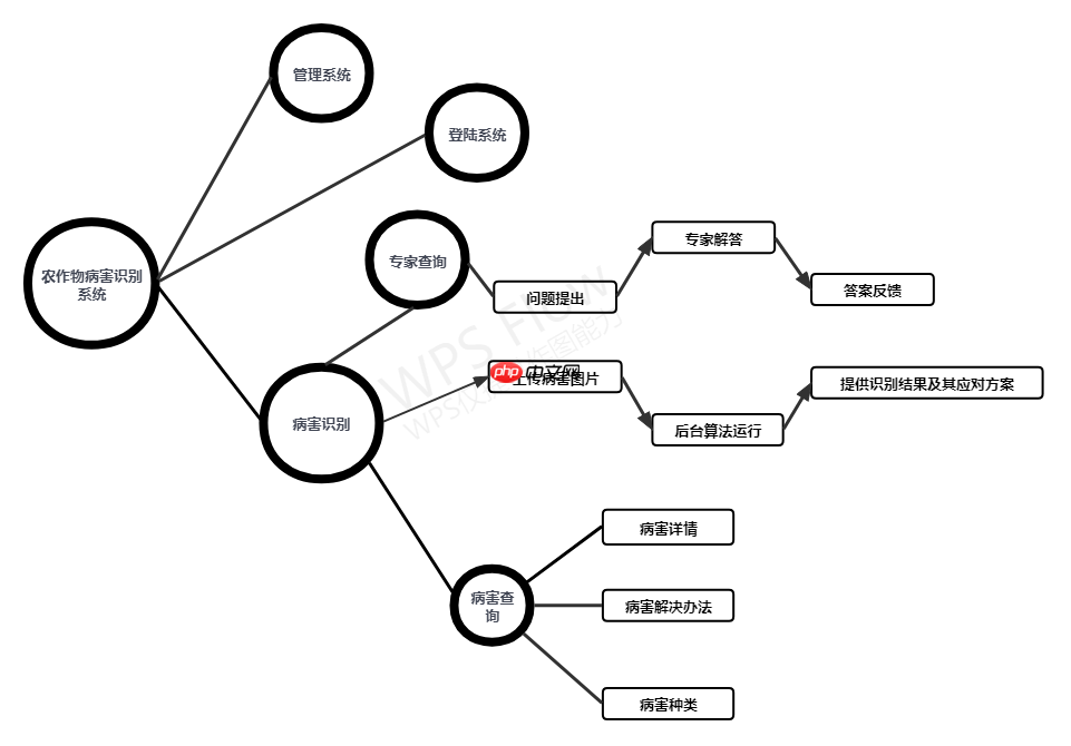 Coding-Party 基于飞桨的农作物智能识别系统 - php中文网