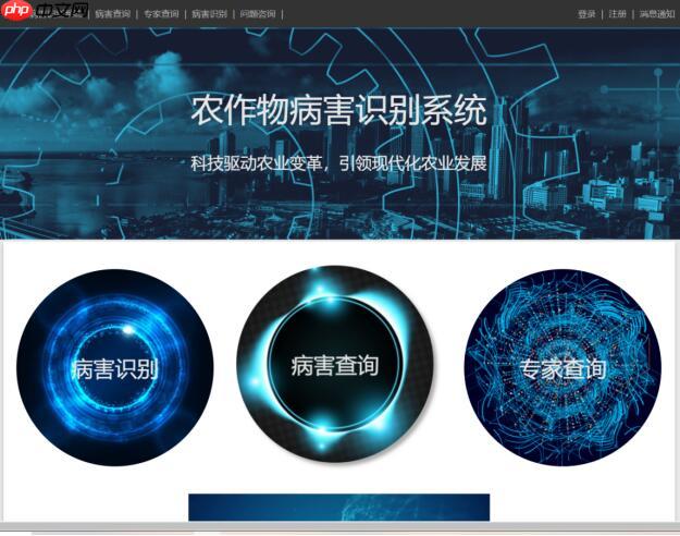 Coding-Party 基于飞桨的农作物智能识别系统 - php中文网