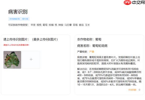 Coding-Party 基于飞桨的农作物智能识别系统 - php中文网