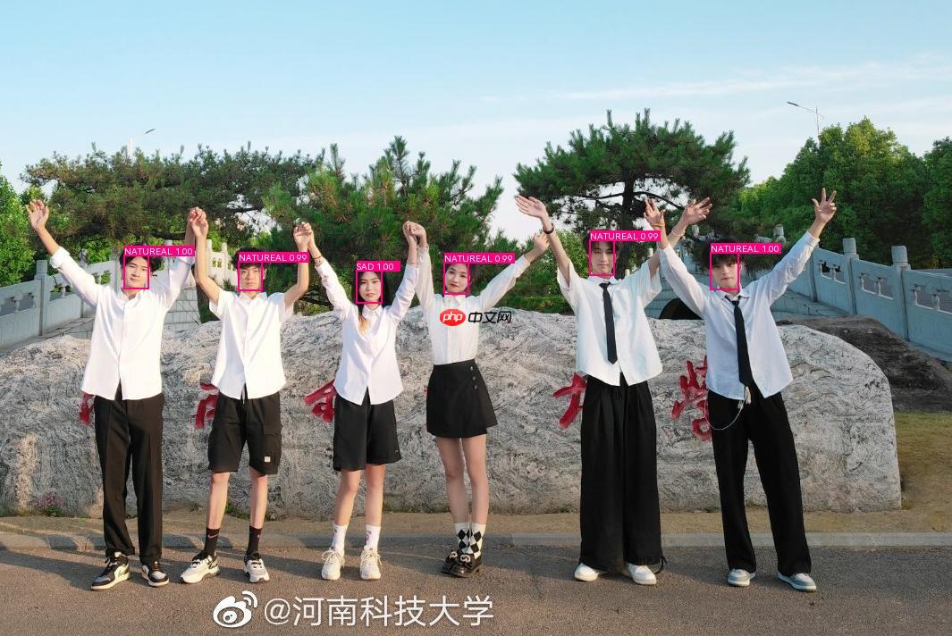 基于PaddleDetection的人脸情绪识别 - php中文网