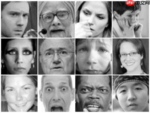 基于PaddleDetection的人脸情绪识别 - php中文网