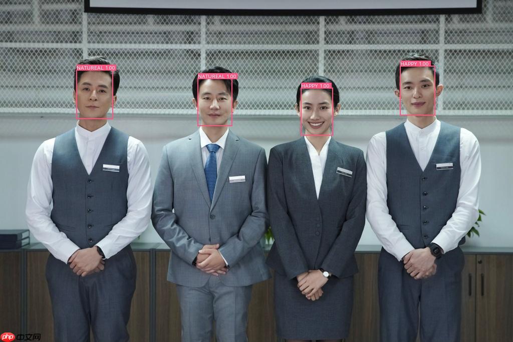 基于PaddleDetection的人脸情绪识别 - php中文网