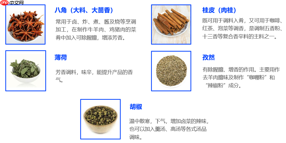 淄博烧烤爆火！基于 PaddleX 实现常用香料分类 - php中文网
