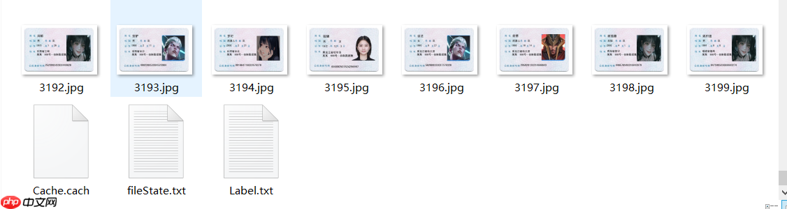 PPOCRLabel半自动工具标注自制身份证数据集 - php中文网