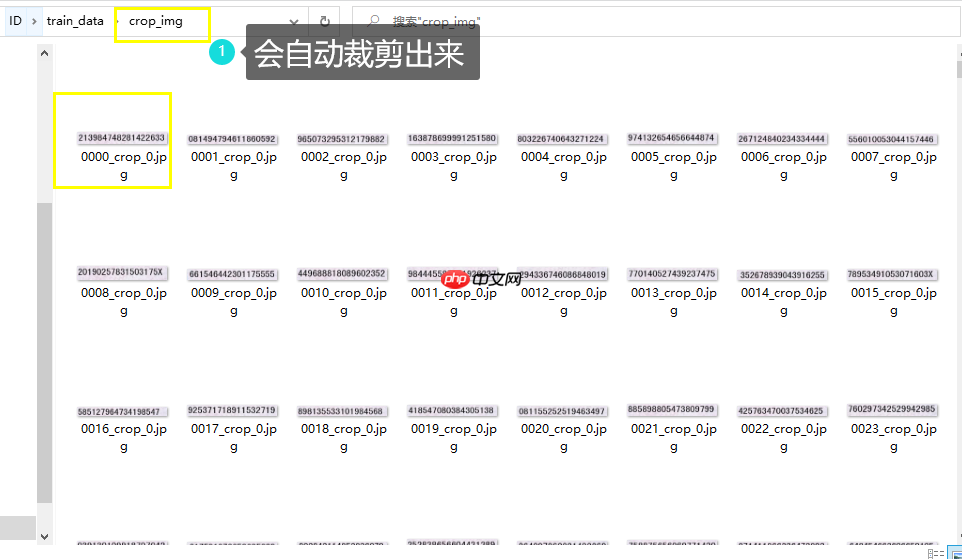 PPOCRLabel半自动工具标注自制身份证数据集 - php中文网