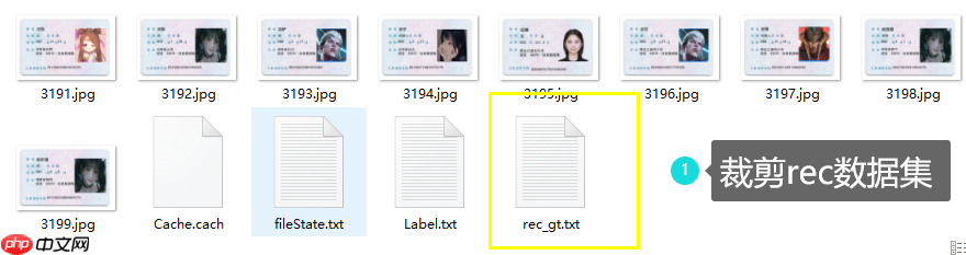 PPOCRLabel半自动工具标注自制身份证数据集 - php中文网