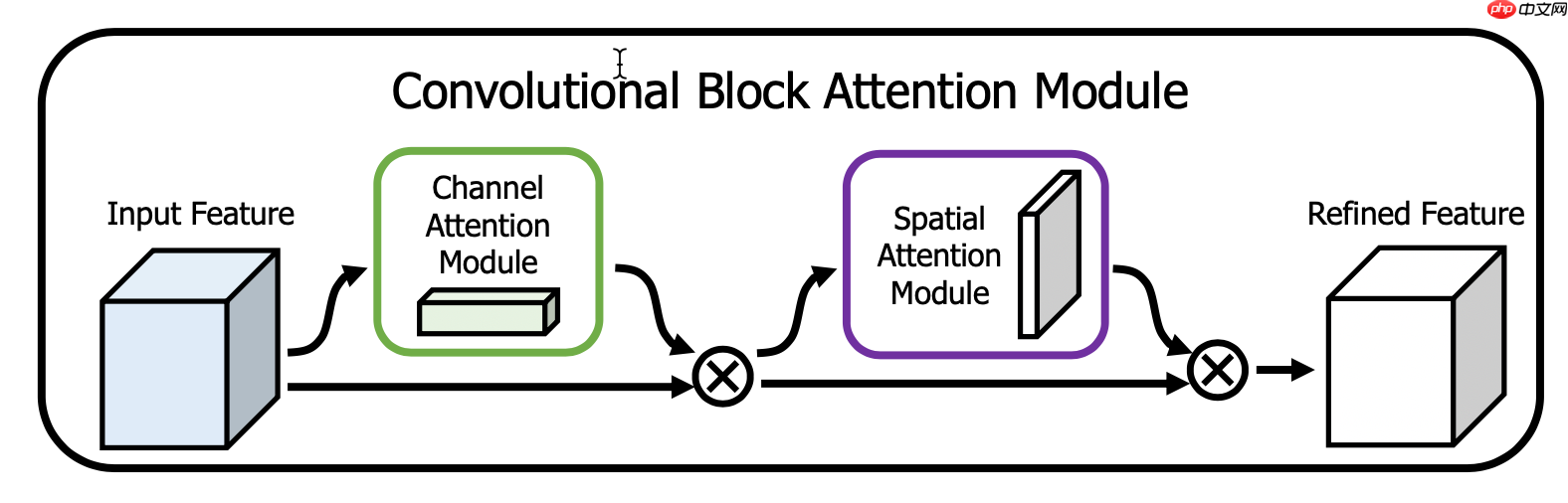 基于Paddle2.0的注意力卷积网络CBAM和BAM - php中文网