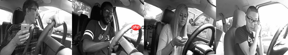 【PaddleHub模型贡献】一行代码实现驾驶员状态识别 - php中文网
